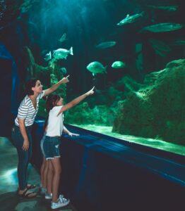 mother and daughter pointing to fish at an aquarium 