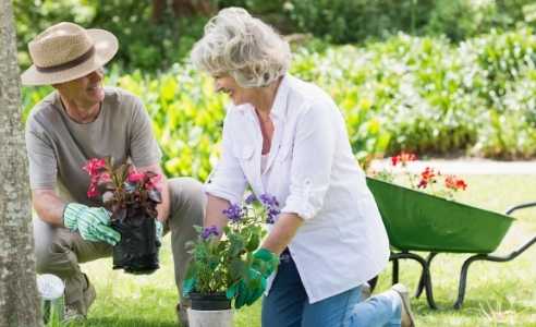 <h4>NDIS Gardening</h4>
