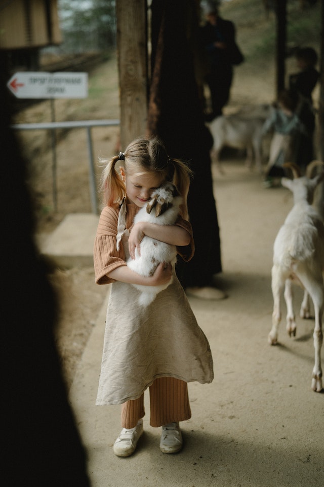 Blonde girl holding a bunny rabbit at a farm.