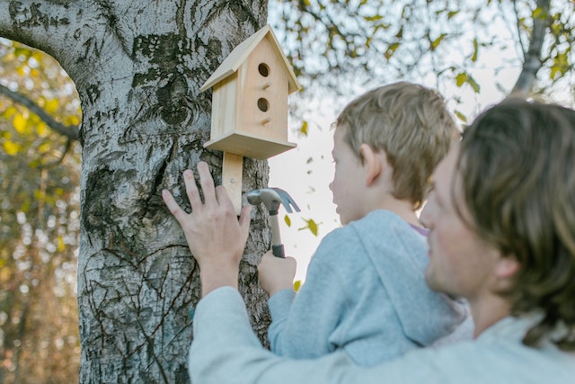 Workshop: Attracting Birds to Your Garden