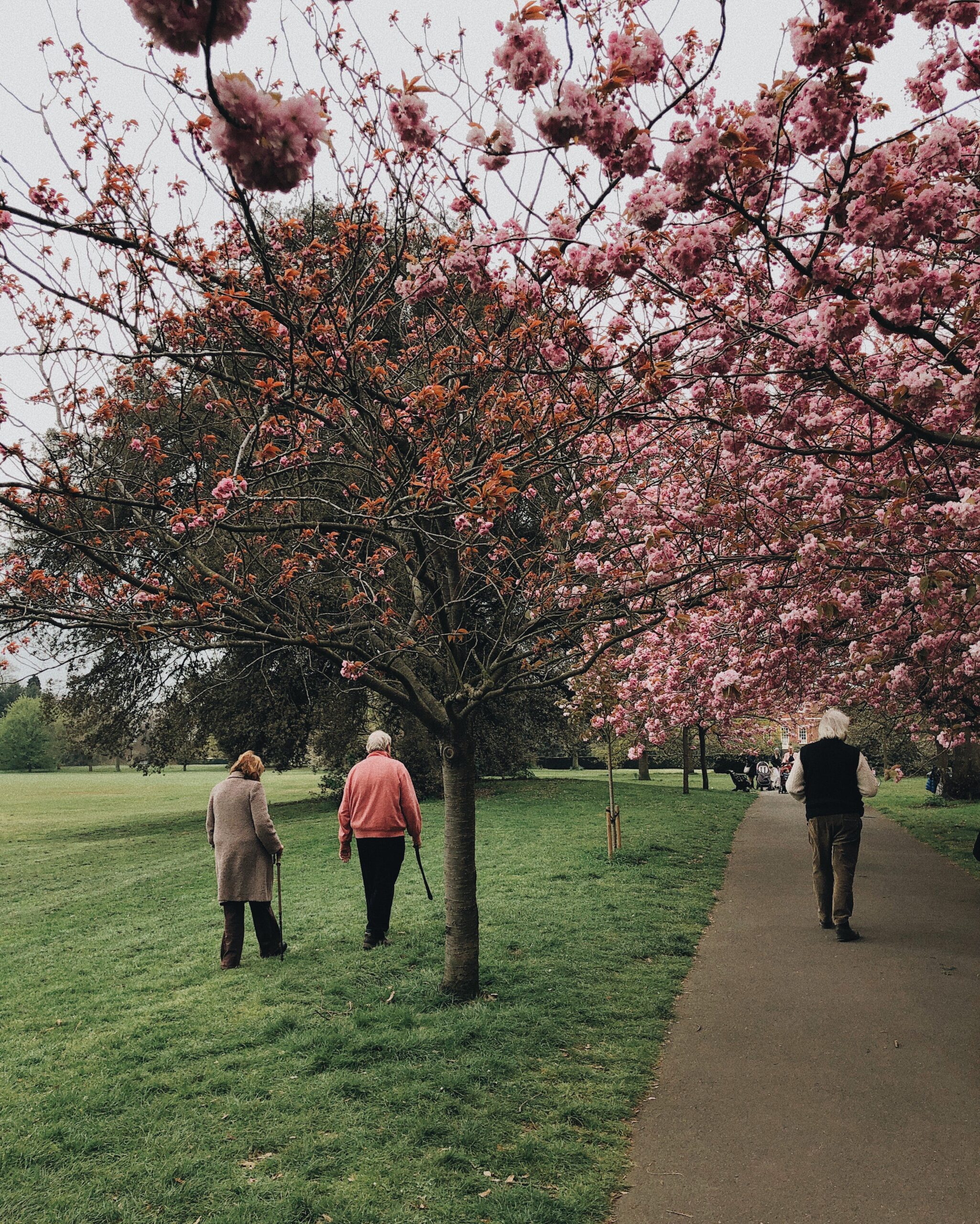 Kings Park Law Walk