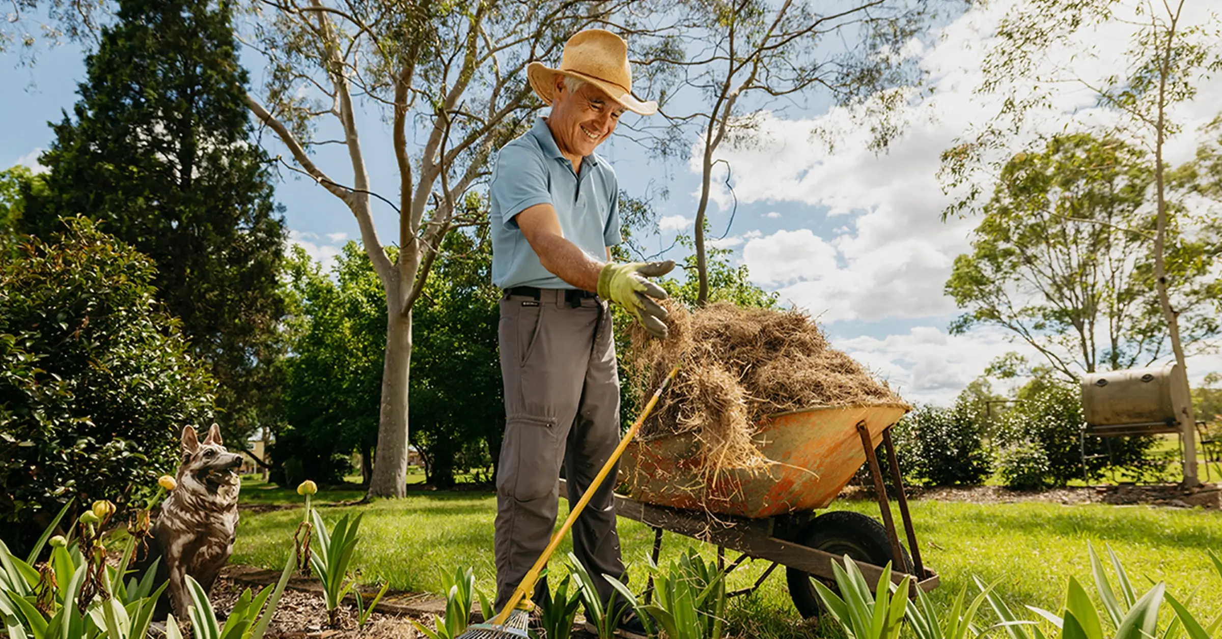 Support worker holds mulch while gardening in plant bed with rake and wheelbarrow.